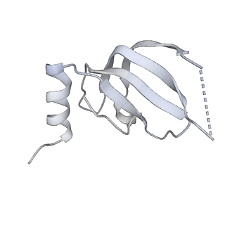 3539_5mps_e_v1-6
Structure of a spliceosome remodeled for exon ligation