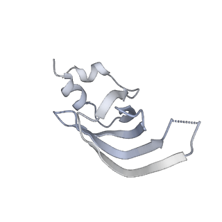 3539_5mps_h_v2-0
Structure of a spliceosome remodeled for exon ligation