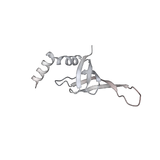 3539_5mps_j_v1-6
Structure of a spliceosome remodeled for exon ligation
