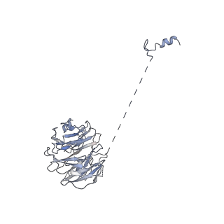 3539_5mps_o_v1-6
Structure of a spliceosome remodeled for exon ligation