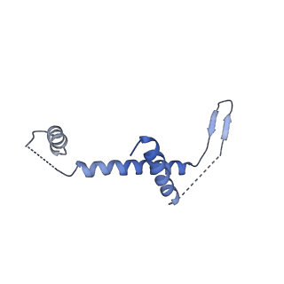 3539_5mps_y_v1-6
Structure of a spliceosome remodeled for exon ligation