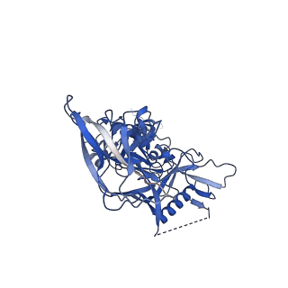 8977_6mpg_2_v1-2
Cryo-EM structure at 3.2 A resolution of HIV-1 fusion peptide-directed antibody, A12V163-b.01, elicited by vaccination of Rhesus macaques, in complex with stabilized HIV-1 Env BG505 DS-SOSIP, which was also bound to antibodies VRC03 and PGT122