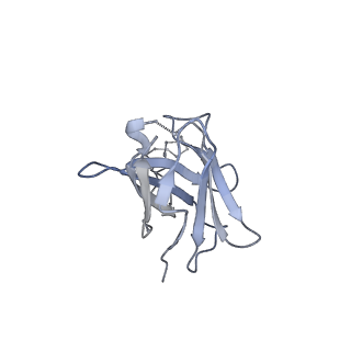 8977_6mpg_5_v1-2
Cryo-EM structure at 3.2 A resolution of HIV-1 fusion peptide-directed antibody, A12V163-b.01, elicited by vaccination of Rhesus macaques, in complex with stabilized HIV-1 Env BG505 DS-SOSIP, which was also bound to antibodies VRC03 and PGT122