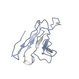 8977_6mpg_6_v1-2
Cryo-EM structure at 3.2 A resolution of HIV-1 fusion peptide-directed antibody, A12V163-b.01, elicited by vaccination of Rhesus macaques, in complex with stabilized HIV-1 Env BG505 DS-SOSIP, which was also bound to antibodies VRC03 and PGT122