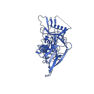 8977_6mpg_C_v1-2
Cryo-EM structure at 3.2 A resolution of HIV-1 fusion peptide-directed antibody, A12V163-b.01, elicited by vaccination of Rhesus macaques, in complex with stabilized HIV-1 Env BG505 DS-SOSIP, which was also bound to antibodies VRC03 and PGT122