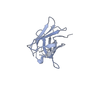 8977_6mpg_M_v1-2
Cryo-EM structure at 3.2 A resolution of HIV-1 fusion peptide-directed antibody, A12V163-b.01, elicited by vaccination of Rhesus macaques, in complex with stabilized HIV-1 Env BG505 DS-SOSIP, which was also bound to antibodies VRC03 and PGT122