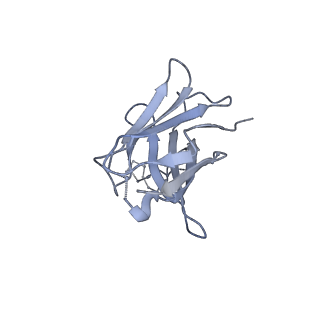 8977_6mpg_M_v2-0
Cryo-EM structure at 3.2 A resolution of HIV-1 fusion peptide-directed antibody, A12V163-b.01, elicited by vaccination of Rhesus macaques, in complex with stabilized HIV-1 Env BG505 DS-SOSIP, which was also bound to antibodies VRC03 and PGT122