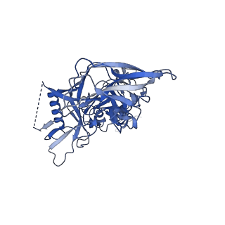 8977_6mpg_V_v1-2
Cryo-EM structure at 3.2 A resolution of HIV-1 fusion peptide-directed antibody, A12V163-b.01, elicited by vaccination of Rhesus macaques, in complex with stabilized HIV-1 Env BG505 DS-SOSIP, which was also bound to antibodies VRC03 and PGT122