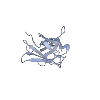 8977_6mpg_m_v1-2
Cryo-EM structure at 3.2 A resolution of HIV-1 fusion peptide-directed antibody, A12V163-b.01, elicited by vaccination of Rhesus macaques, in complex with stabilized HIV-1 Env BG505 DS-SOSIP, which was also bound to antibodies VRC03 and PGT122