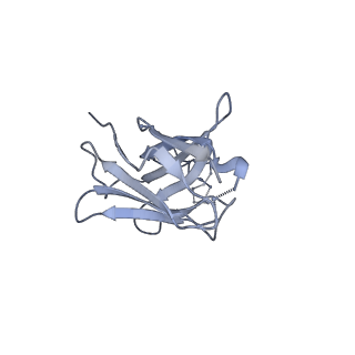 8977_6mpg_m_v2-0
Cryo-EM structure at 3.2 A resolution of HIV-1 fusion peptide-directed antibody, A12V163-b.01, elicited by vaccination of Rhesus macaques, in complex with stabilized HIV-1 Env BG505 DS-SOSIP, which was also bound to antibodies VRC03 and PGT122