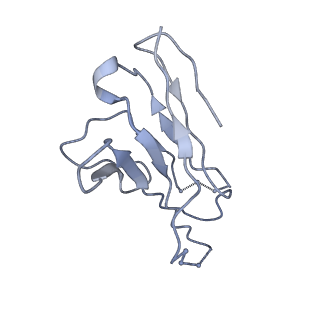 8977_6mpg_n_v1-2
Cryo-EM structure at 3.2 A resolution of HIV-1 fusion peptide-directed antibody, A12V163-b.01, elicited by vaccination of Rhesus macaques, in complex with stabilized HIV-1 Env BG505 DS-SOSIP, which was also bound to antibodies VRC03 and PGT122