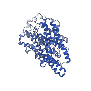 9187_6mp6_A_v1-2
Cryo-EM structure of the human neutral amino acid transporter ASCT2