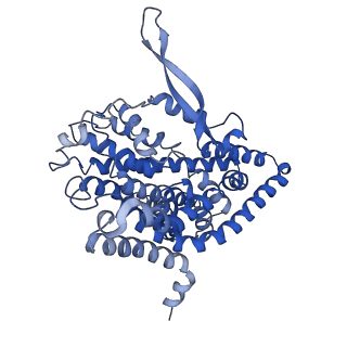 9187_6mp6_B_v1-2
Cryo-EM structure of the human neutral amino acid transporter ASCT2