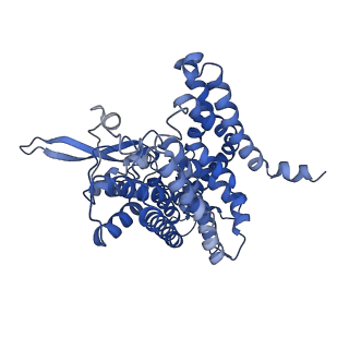 9187_6mp6_C_v1-2
Cryo-EM structure of the human neutral amino acid transporter ASCT2