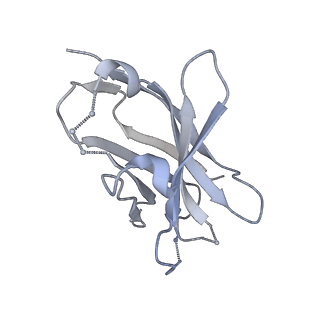 9189_6mph_3_v1-1
Cryo-EM structure at 3.8 A resolution of HIV-1 fusion peptide-directed antibody, DF1W-a.01, elicited by vaccination of Rhesus macaques, in complex with stabilized HIV-1 Env BG505 DS-SOSIP, which was also bound to antibodies VRC03 and PGT122
