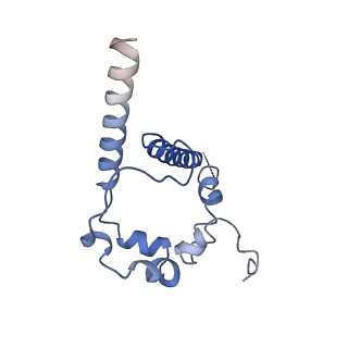 9189_6mph_6_v1-1
Cryo-EM structure at 3.8 A resolution of HIV-1 fusion peptide-directed antibody, DF1W-a.01, elicited by vaccination of Rhesus macaques, in complex with stabilized HIV-1 Env BG505 DS-SOSIP, which was also bound to antibodies VRC03 and PGT122