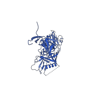 9189_6mph_A_v1-1
Cryo-EM structure at 3.8 A resolution of HIV-1 fusion peptide-directed antibody, DF1W-a.01, elicited by vaccination of Rhesus macaques, in complex with stabilized HIV-1 Env BG505 DS-SOSIP, which was also bound to antibodies VRC03 and PGT122