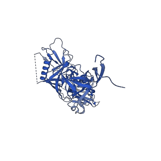 9189_6mph_C_v2-0
Cryo-EM structure at 3.8 A resolution of HIV-1 fusion peptide-directed antibody, DF1W-a.01, elicited by vaccination of Rhesus macaques, in complex with stabilized HIV-1 Env BG505 DS-SOSIP, which was also bound to antibodies VRC03 and PGT122