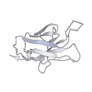 9189_6mph_L_v1-1
Cryo-EM structure at 3.8 A resolution of HIV-1 fusion peptide-directed antibody, DF1W-a.01, elicited by vaccination of Rhesus macaques, in complex with stabilized HIV-1 Env BG505 DS-SOSIP, which was also bound to antibodies VRC03 and PGT122