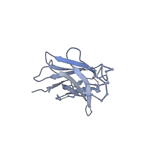 9189_6mph_M_v1-1
Cryo-EM structure at 3.8 A resolution of HIV-1 fusion peptide-directed antibody, DF1W-a.01, elicited by vaccination of Rhesus macaques, in complex with stabilized HIV-1 Env BG505 DS-SOSIP, which was also bound to antibodies VRC03 and PGT122