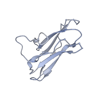 9189_6mph_N_v1-1
Cryo-EM structure at 3.8 A resolution of HIV-1 fusion peptide-directed antibody, DF1W-a.01, elicited by vaccination of Rhesus macaques, in complex with stabilized HIV-1 Env BG505 DS-SOSIP, which was also bound to antibodies VRC03 and PGT122
