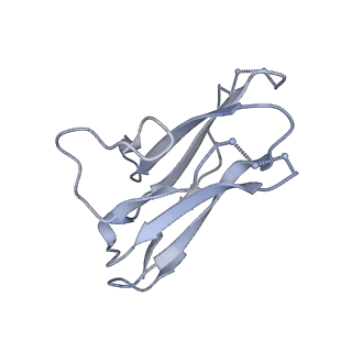 9189_6mph_N_v2-0
Cryo-EM structure at 3.8 A resolution of HIV-1 fusion peptide-directed antibody, DF1W-a.01, elicited by vaccination of Rhesus macaques, in complex with stabilized HIV-1 Env BG505 DS-SOSIP, which was also bound to antibodies VRC03 and PGT122