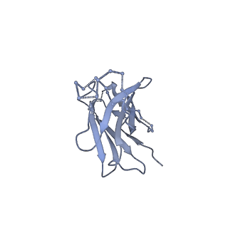 9189_6mph_X_v1-1
Cryo-EM structure at 3.8 A resolution of HIV-1 fusion peptide-directed antibody, DF1W-a.01, elicited by vaccination of Rhesus macaques, in complex with stabilized HIV-1 Env BG505 DS-SOSIP, which was also bound to antibodies VRC03 and PGT122