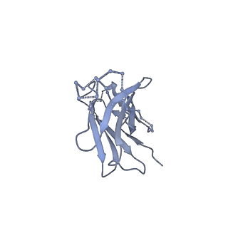 9189_6mph_X_v2-0
Cryo-EM structure at 3.8 A resolution of HIV-1 fusion peptide-directed antibody, DF1W-a.01, elicited by vaccination of Rhesus macaques, in complex with stabilized HIV-1 Env BG505 DS-SOSIP, which was also bound to antibodies VRC03 and PGT122