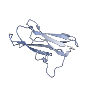 9189_6mph_Z_v1-1
Cryo-EM structure at 3.8 A resolution of HIV-1 fusion peptide-directed antibody, DF1W-a.01, elicited by vaccination of Rhesus macaques, in complex with stabilized HIV-1 Env BG505 DS-SOSIP, which was also bound to antibodies VRC03 and PGT122