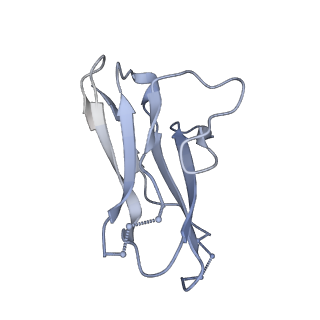 9189_6mph_a_v1-1
Cryo-EM structure at 3.8 A resolution of HIV-1 fusion peptide-directed antibody, DF1W-a.01, elicited by vaccination of Rhesus macaques, in complex with stabilized HIV-1 Env BG505 DS-SOSIP, which was also bound to antibodies VRC03 and PGT122