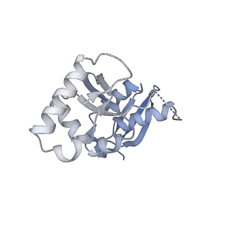 23936_7mq8_L7_v1-1
Cryo-EM structure of the human SSU processome, state pre-A1