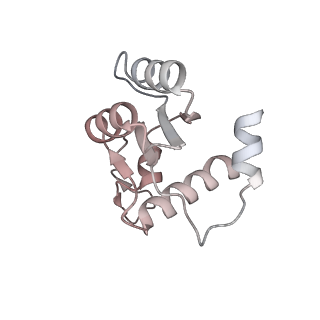 23936_7mq8_LA_v1-1
Cryo-EM structure of the human SSU processome, state pre-A1