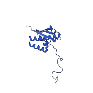 23936_7mq8_LC_v1-1
Cryo-EM structure of the human SSU processome, state pre-A1