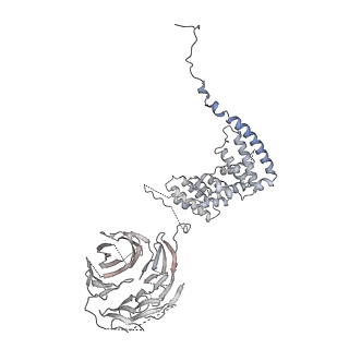 23936_7mq8_LI_v1-1
Cryo-EM structure of the human SSU processome, state pre-A1