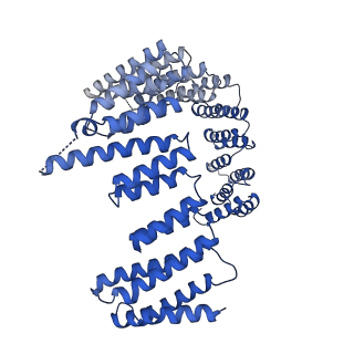 23936_7mq8_LP_v1-1
Cryo-EM structure of the human SSU processome, state pre-A1