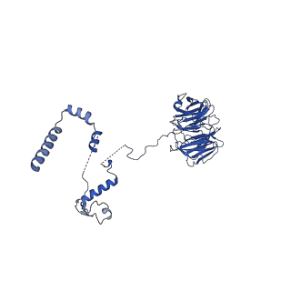 23936_7mq8_LS_v1-1
Cryo-EM structure of the human SSU processome, state pre-A1