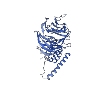 23936_7mq8_LU_v1-1
Cryo-EM structure of the human SSU processome, state pre-A1