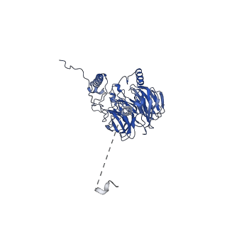 23936_7mq8_LW_v1-1
Cryo-EM structure of the human SSU processome, state pre-A1