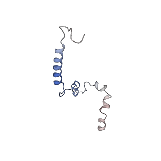 23936_7mq8_ND_v1-1
Cryo-EM structure of the human SSU processome, state pre-A1