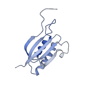 23936_7mq8_NG_v1-1
Cryo-EM structure of the human SSU processome, state pre-A1