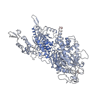23936_7mq8_NH_v1-1
Cryo-EM structure of the human SSU processome, state pre-A1