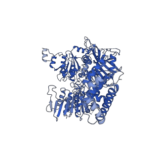 23936_7mq8_NJ_v1-1
Cryo-EM structure of the human SSU processome, state pre-A1