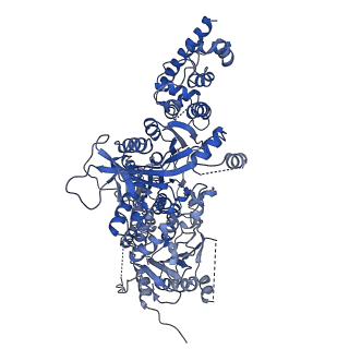 23936_7mq8_NK_v1-1
Cryo-EM structure of the human SSU processome, state pre-A1