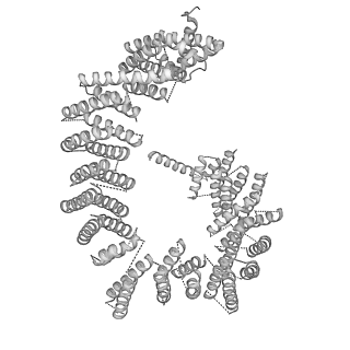 23936_7mq8_NR_v1-1
Cryo-EM structure of the human SSU processome, state pre-A1
