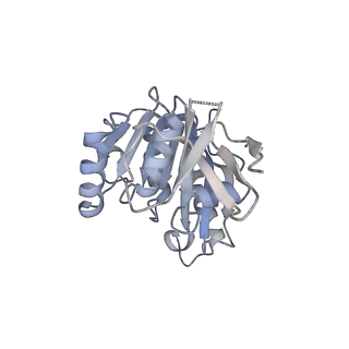 23936_7mq8_SC_v1-1
Cryo-EM structure of the human SSU processome, state pre-A1