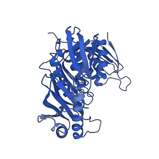 23936_7mq8_SH_v1-1
Cryo-EM structure of the human SSU processome, state pre-A1