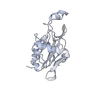23936_7mq8_SJ_v1-1
Cryo-EM structure of the human SSU processome, state pre-A1