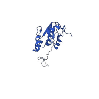 23936_7mq8_SL_v1-1
Cryo-EM structure of the human SSU processome, state pre-A1