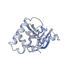 23937_7mq9_L7_v1-1
Cryo-EM structure of the human SSU processome, state pre-A1*