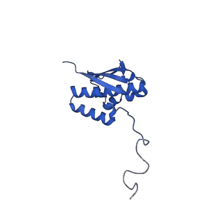 23937_7mq9_LC_v1-1
Cryo-EM structure of the human SSU processome, state pre-A1*